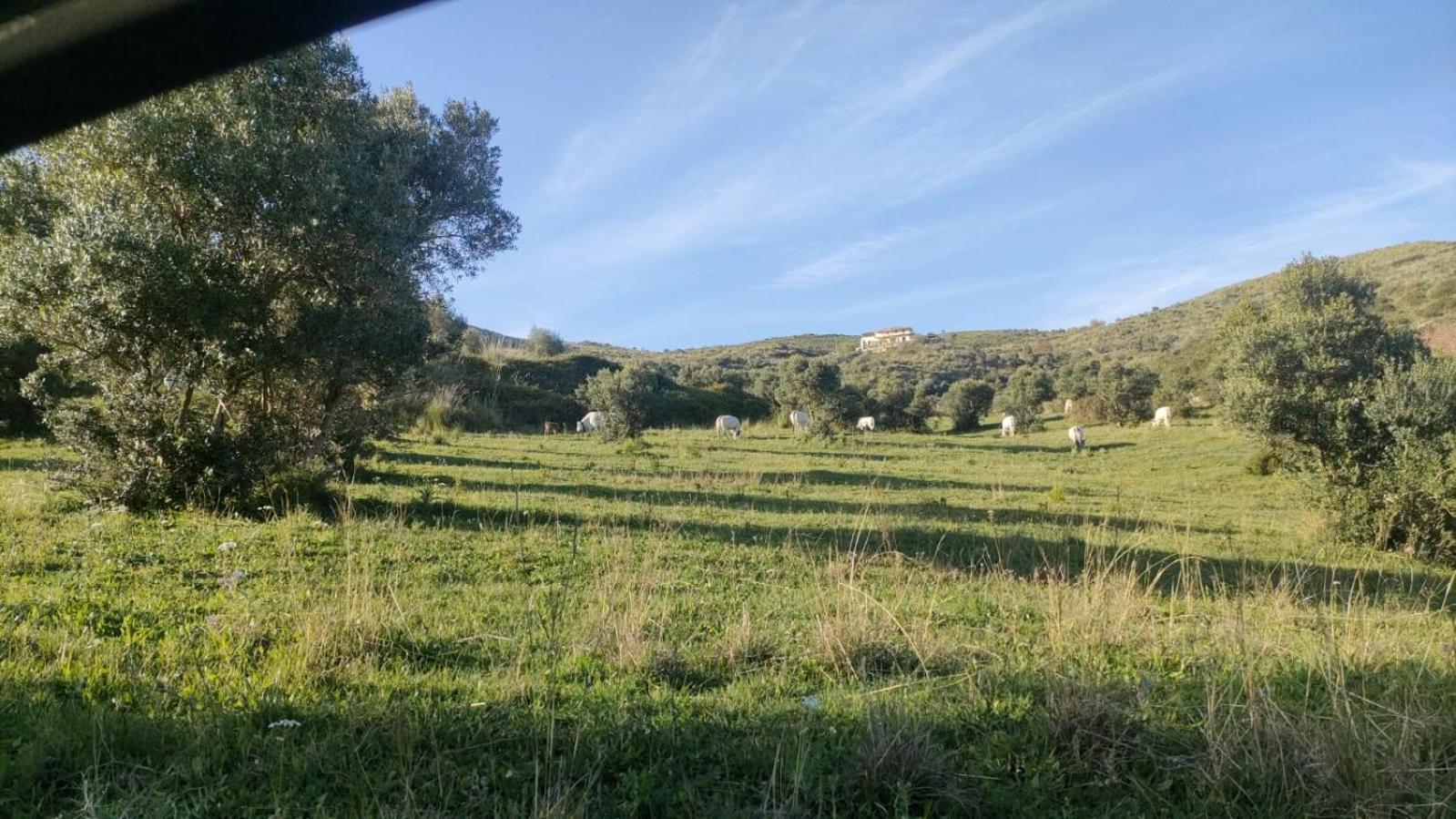 Il Panorama Housing Cilento Aparthotel Santa Maria di Castellabate Eksteriør bilde